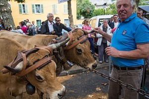 ILLUSTRATION AVEYRON (12), FRANCE 