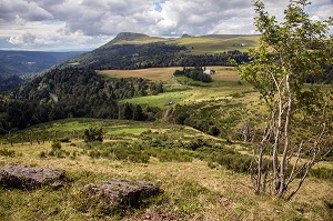 ILLUSTRATION PUY-DE-DOME, (63) AUVERGNE, FRANCE 