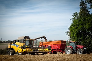 AGRICULTURE DANS L'ORNE (61), FRANCE 