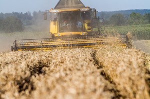 AGRICULTURE DANS L'ORNE (61), FRANCE 