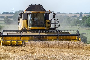 AGRICULTURE DANS L'ORNE (61), FRANCE 