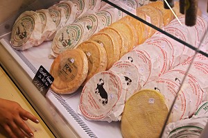 PARC NATUREL REGIONAL DES BALLONS DES VOSGES (68) HAUT-RHIN, ALSACE, FRANCE 