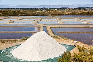 LES MARAIS SALANTS DE GUERANDE, (44) LOIRE ATLANTIQUE, PAYS DE LOIRE, FRANCE 