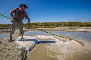 LES MARAIS SALANTS DE GUERANDE, (44) LOIRE ATLANTIQUE, PAYS DE LOIRE, FRANCE 