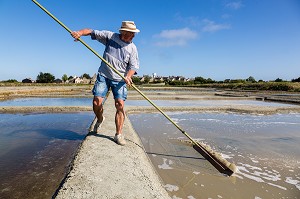 LES MARAIS SALANTS DE GUERANDE, (44) LOIRE ATLANTIQUE, PAYS DE LOIRE, FRANCE 