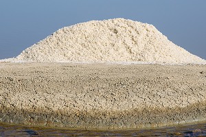 LES MARAIS SALANTS DE GUERANDE, (44) LOIRE ATLANTIQUE, PAYS DE LOIRE, FRANCE 