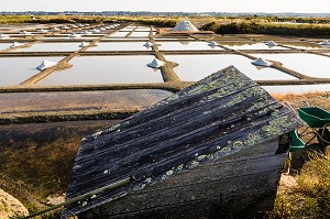 LES MARAIS SALANTS DE GUERANDE, (44) LOIRE ATLANTIQUE, PAYS DE LOIRE, FRANCE 