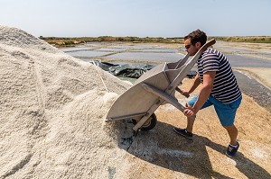 LES MARAIS SALANTS DE GUERANDE, (44) LOIRE ATLANTIQUE, PAYS DE LOIRE, FRANCE 