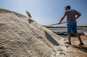 LES MARAIS SALANTS DE GUERANDE, (44) LOIRE ATLANTIQUE, PAYS DE LOIRE, FRANCE 