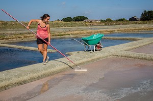 LES MARAIS SALANTS DE GUERANDE, (44) LOIRE ATLANTIQUE, PAYS DE LOIRE, FRANCE 