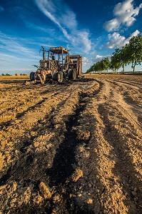 LE MONDE AGRICOLE, SEES, (61) ORNE, BASSE-NORMANDIE, FRANCE 