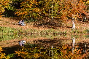 COULEURS D'AUTOMNE DANS LE PERCHE, (61) ORNE, BASSE NORMANDIE, FRANCE 