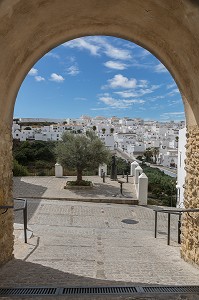 ILLUSTRATION ANDALOUSIE, COSTA DEL SOL, ESPAGNE SUD, EUROPE 