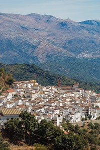 ILLUSTRATION ANDALOUSIE, COSTA DEL SOL, ESPAGNE SUD, EUROPE 