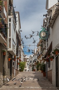 ILLUSTRATION ANDALOUSIE, COSTA DEL SOL, ESPAGNE SUD, EUROPE 