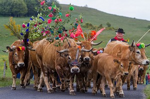 FETE DE LA TRANSHUMANCE, LOZERE (48), FRANCE 