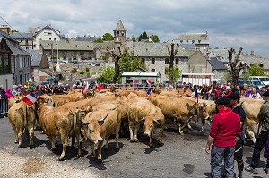 FETE DE LA TRANSHUMANCE, LOZERE (48), FRANCE 