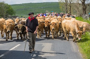 FETE DE LA TRANSHUMANCE, LOZERE (48), FRANCE 