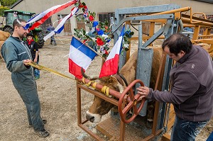 FETE DE LA TRANSHUMANCE, LOZERE (48), FRANCE 