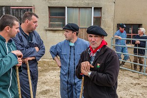 FETE DE LA TRANSHUMANCE, LOZERE (48), FRANCE 