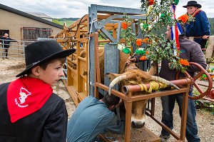 FETE DE LA TRANSHUMANCE, LOZERE (48), FRANCE 