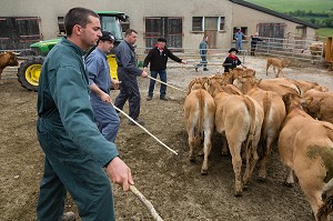 FETE DE LA TRANSHUMANCE, LOZERE (48), FRANCE 