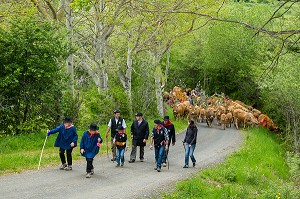 FETE DE LA TRANSHUMANCE, LOZERE (48), FRANCE 