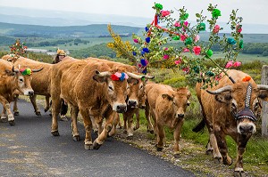 FETE DE LA TRANSHUMANCE, LOZERE (48), FRANCE 