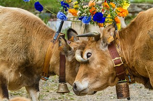 FETE DE LA TRANSHUMANCE, LOZERE (48), FRANCE 