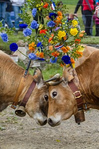 FETE DE LA TRANSHUMANCE, LOZERE (48), FRANCE 