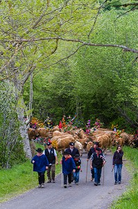 FETE DE LA TRANSHUMANCE, LOZERE (48), FRANCE 