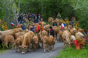 FETE DE LA TRANSHUMANCE, LOZERE (48), FRANCE 