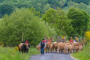 FETE DE LA TRANSHUMANCE, LOZERE (48), FRANCE 