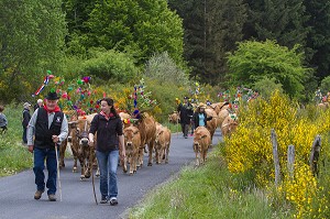 FETE DE LA TRANSHUMANCE, LOZERE (48), FRANCE 