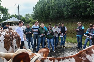 L'ELEVAGE DE BOVINS EN NORMANDIE 