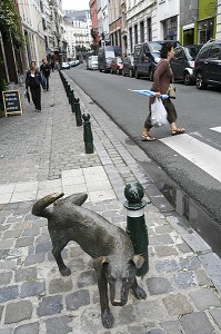 LE ZINNEKE PIS, (CHIEN BATARD EN BRUXELLOIS) EN TRAIN D'URINER, PETIT CLIN D'OEIL AU MANNEKEN PIS 