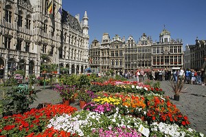 MARCHE AUX FLEURS, GRAND PLACE, BRUXELLES, BELGIQUE 