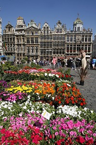 MARCHE AUX FLEURS, GRAND PLACE, BRUXELLES, BELGIQUE 