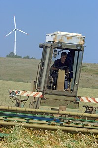 RECOLTE AVEC MOISSONNEUSE BATTEUSE, EOLIENNE EN ARRIERE PLAN, REGION D'ANTONOVO, BULGARIE, EUROPE