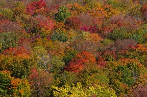 DECOUVERTE DU QUEBEC, CANADA 