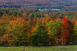 DECOUVERTE DU QUEBEC, CANADA 