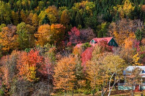 DECOUVERTE DU QUEBEC, CANADA 