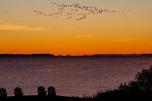 DECOUVERTE DU QUEBEC, CANADA 