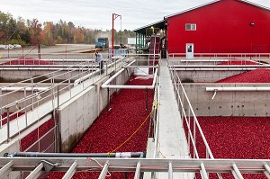 DECOUVERTE DU QUEBEC, CANADA 