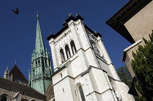 CATHEDRALE SAINT-PIERRE, GENEVE, SUISSE 