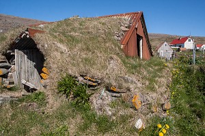 ILLLUSTRATION ISLANDE, ICELAND, EUROPE 