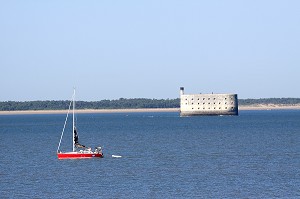ILLUSTRATION ILE D'OLERON, CHARENTE-MARITIME, FRANCE 