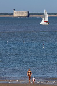 ILLUSTRATION ILE D'AIX, CHARENTE-MARITIME, FRANCE 