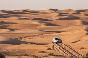 ILLUSTRATION DUBAI, EMIRATS ARABES UNIS, MOYEN-ORIENT 