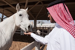 ILLUSTRATION QATAR, GOLFE PERSIQUE, MOYEN-ORIENT 